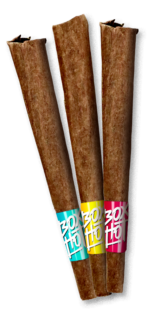 A trio of BOXHOT Fatties blunts.